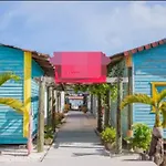Buganvilla