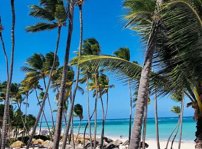 Sol Caribe Suites & Studios - Beach Club And Pool