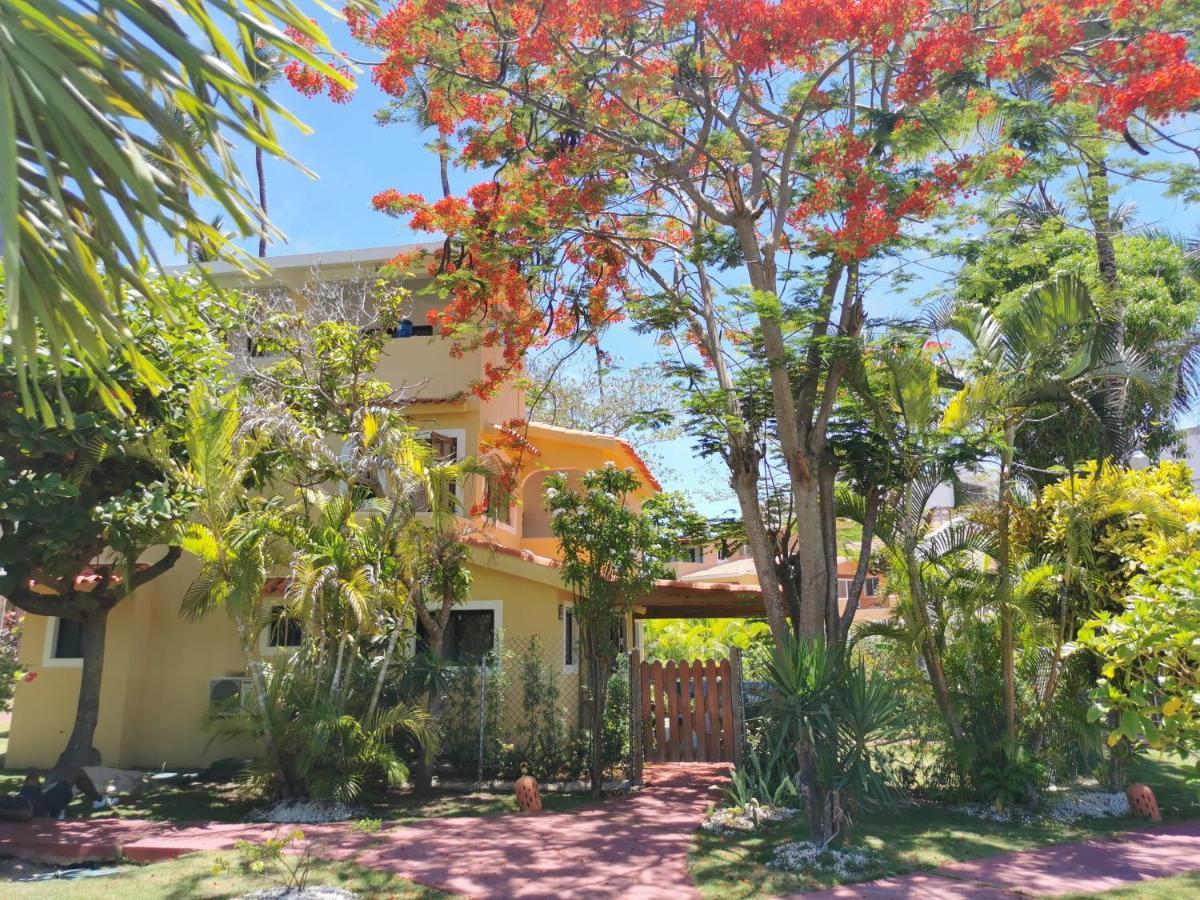 Penthouse Las Terrazas On Bavaro Beach Pool Wifi Bbq 6guests Parking Pickup Punta Cana