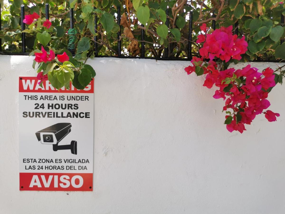 Beach Studio 4 People - Bbq, Wifi, Beach Amenities, Pickup From Airport, Kitchenette - Playa Los Corales Apartment
