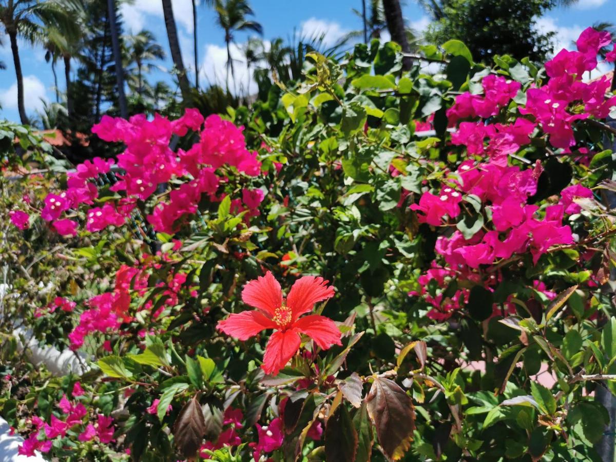 Beach Garden View 8 People Pool Bbq Wifi Parking Kitchen Balcony Pousada Punta Cana