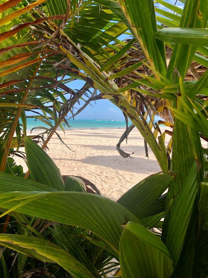 Apartment Beach Studio 4 People - Bbq, Wifi, Beach Amenities, Pickup From Airport, Kitchenette - Playa Los Corales