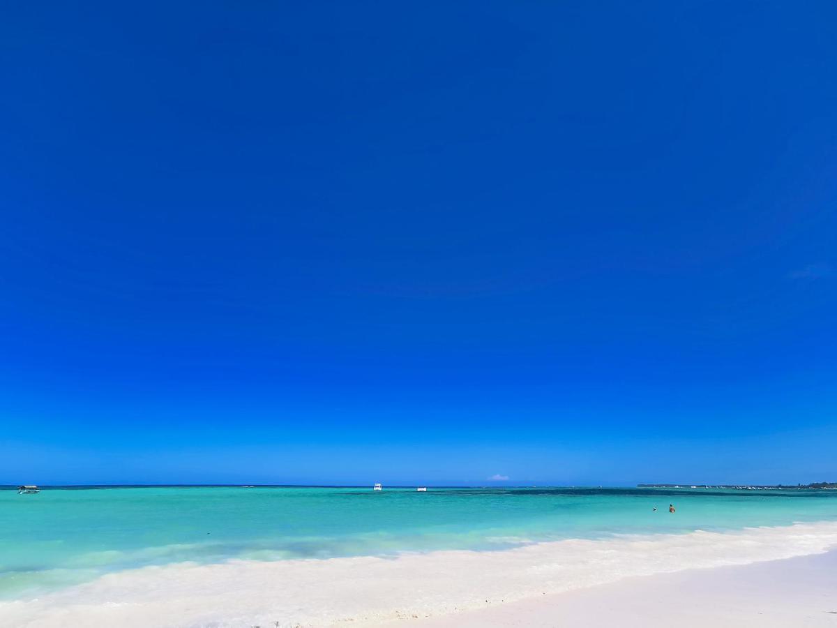 Apartment Beach Studio 4 People - Bbq, Wifi, Beach Amenities, Pickup From Airport, Kitchenette - Playa Los Corales *