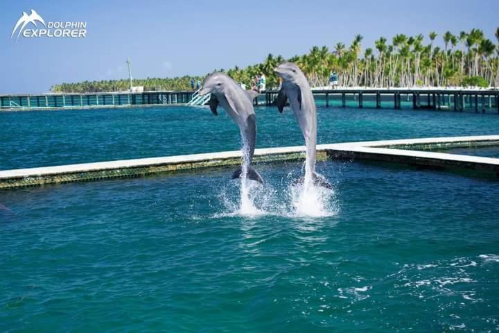 Caribbean And Sun Apartment Punta Cana
