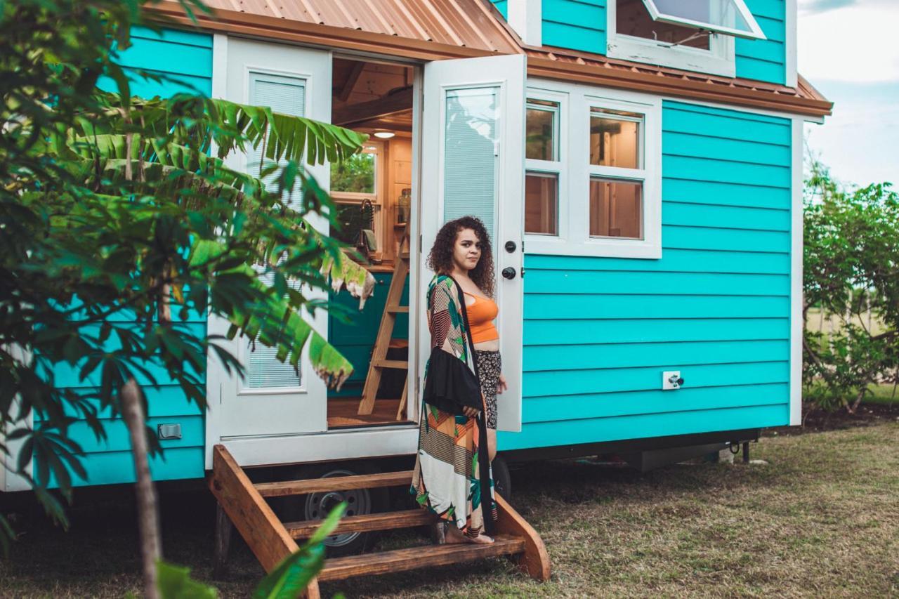 New!! Tropical Tiny Sanctuary-tiny Near Ferienhaus *