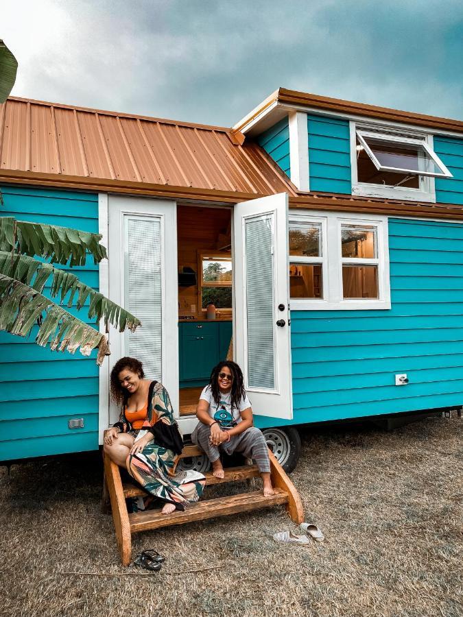 New!! Tropical Tiny Sanctuary-tiny Near Punta Cana