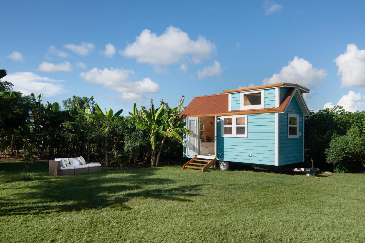 Ferienhaus New!! Tropical Tiny Sanctuary-tiny Near Punta Cana