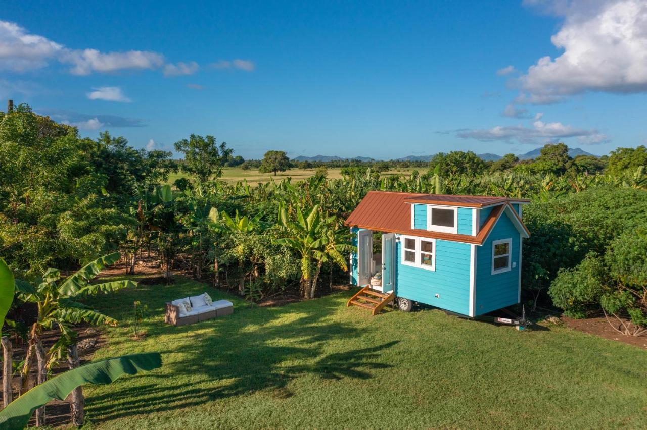 Ferienhaus New!! Tropical Tiny Sanctuary-tiny Near *