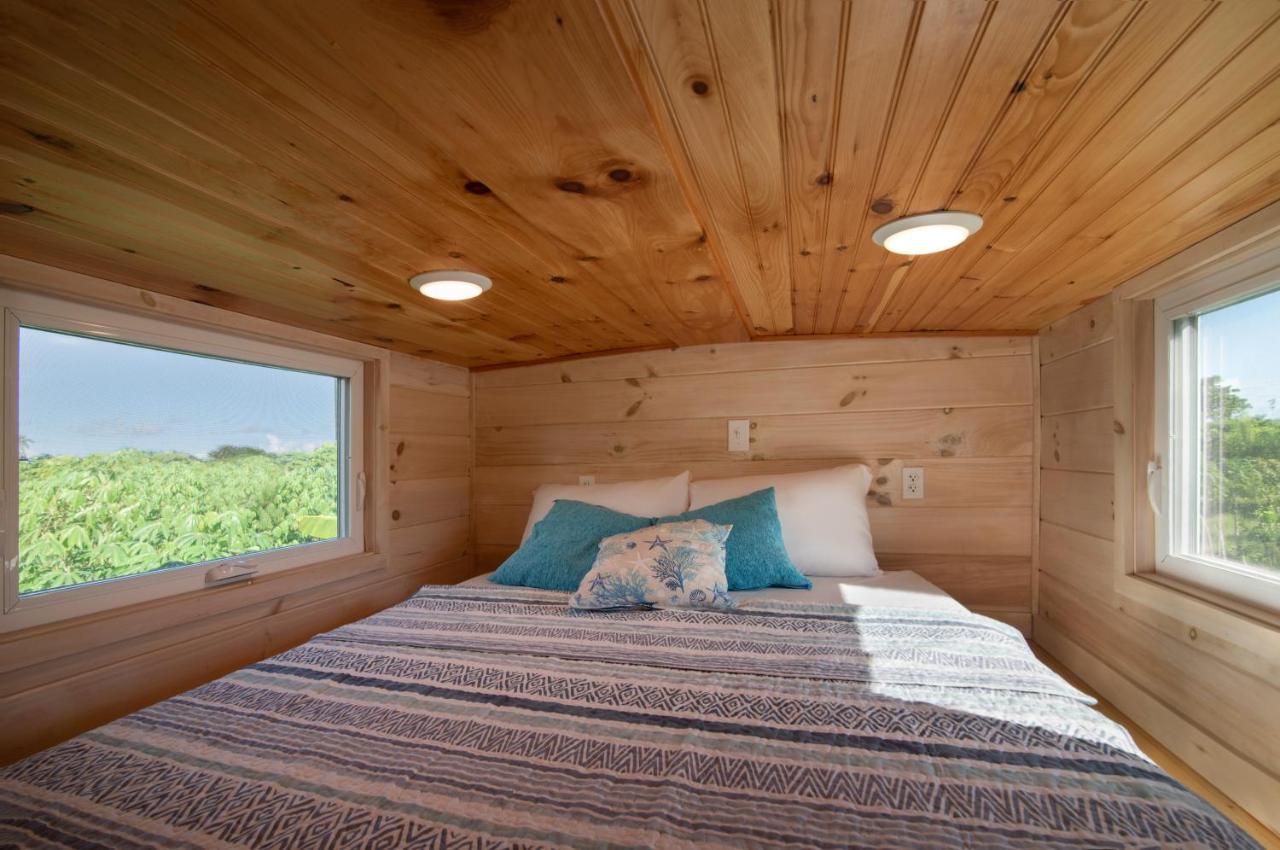 Ferienhaus New!! Tropical Tiny Sanctuary-tiny Near Punta Cana