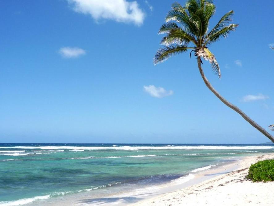 Caribbean Cozy - Pool Beach Club & Aparthotel