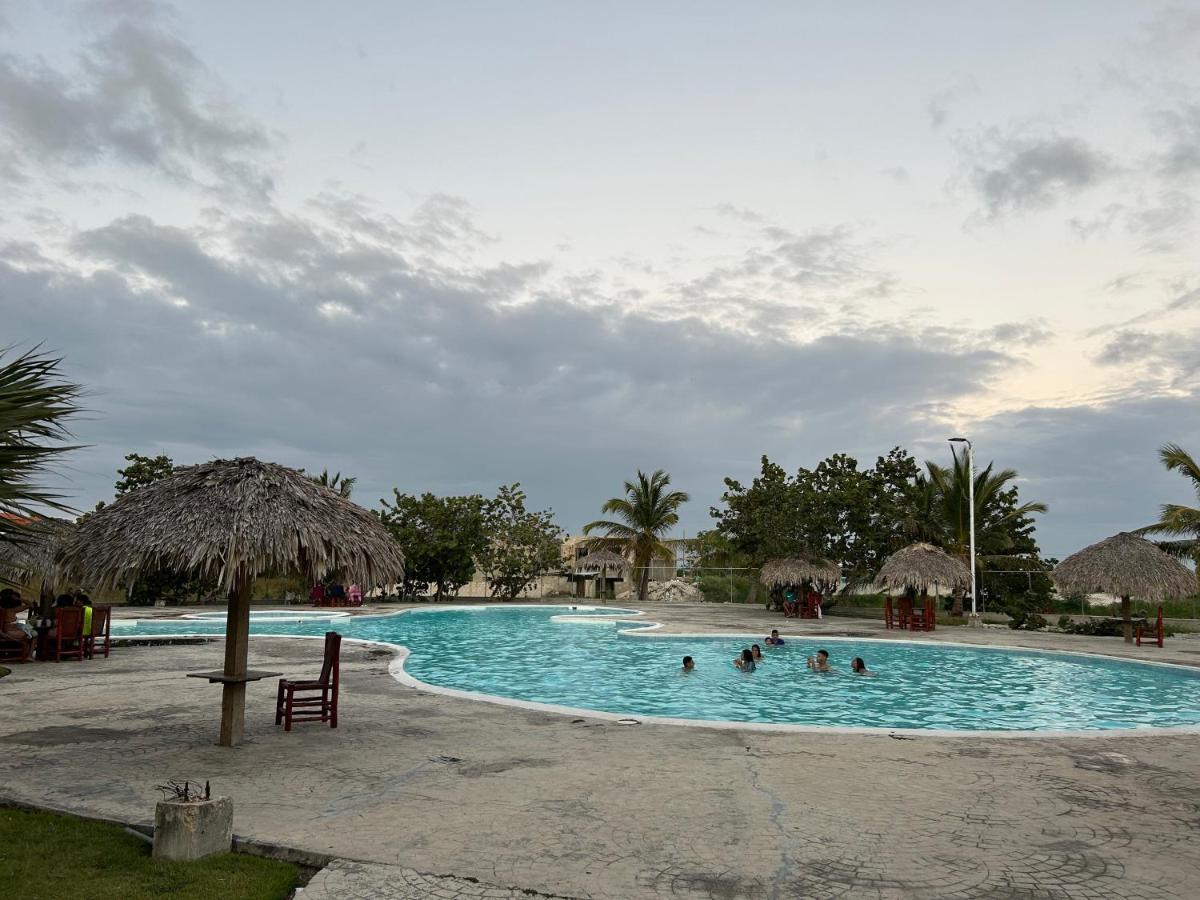 Lovely 10 Mins Away From Airport Apartment *