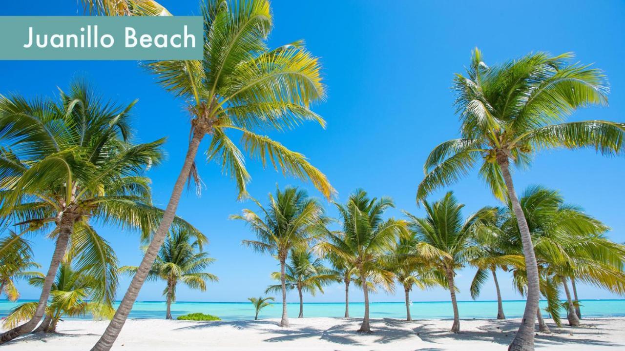 Relaxing 2 Bedroom Ocean View With Pool Close To The Beach