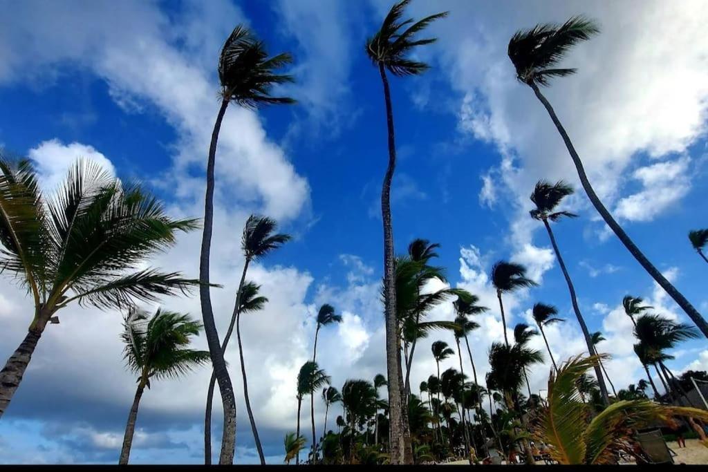 Villa Ark Punta Cana