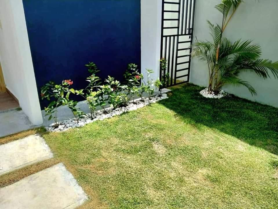 Villa Ark *