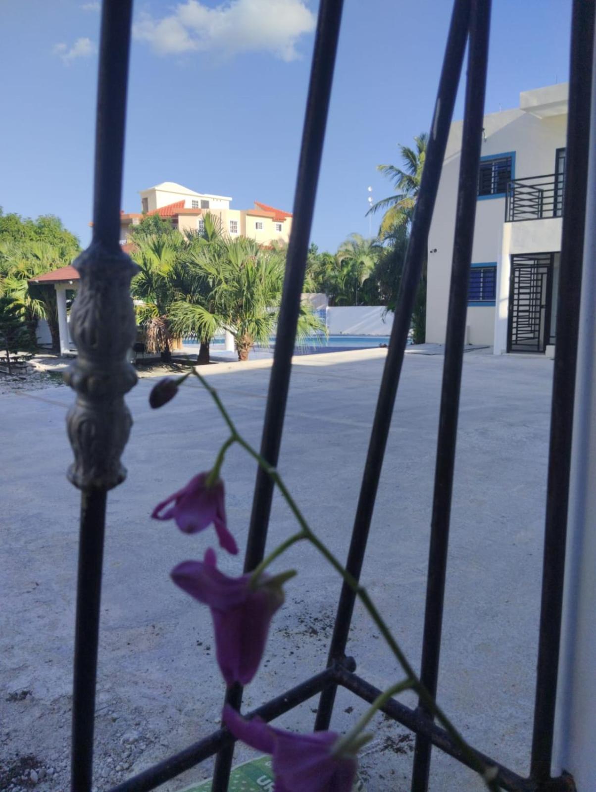Nely Y Pietro Share Frühstückspension Punta Cana