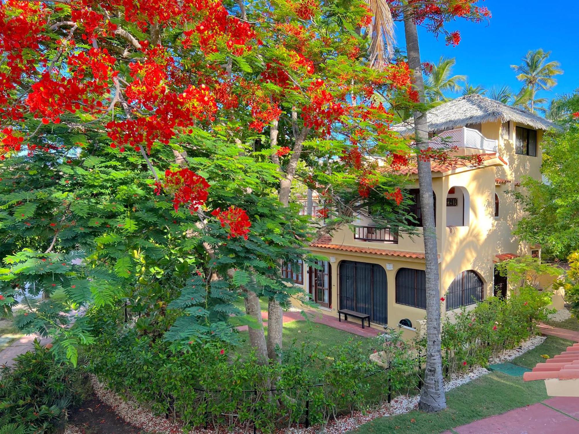 Hotel Corales Villas And Suites - Club, Spa, Restaurants