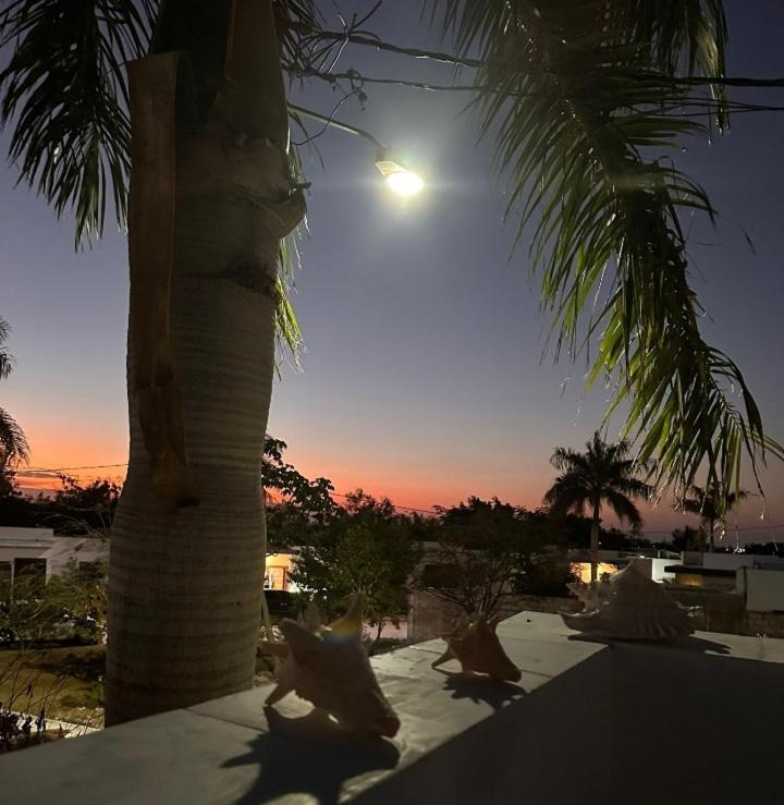 Mariposa * Punta Cana