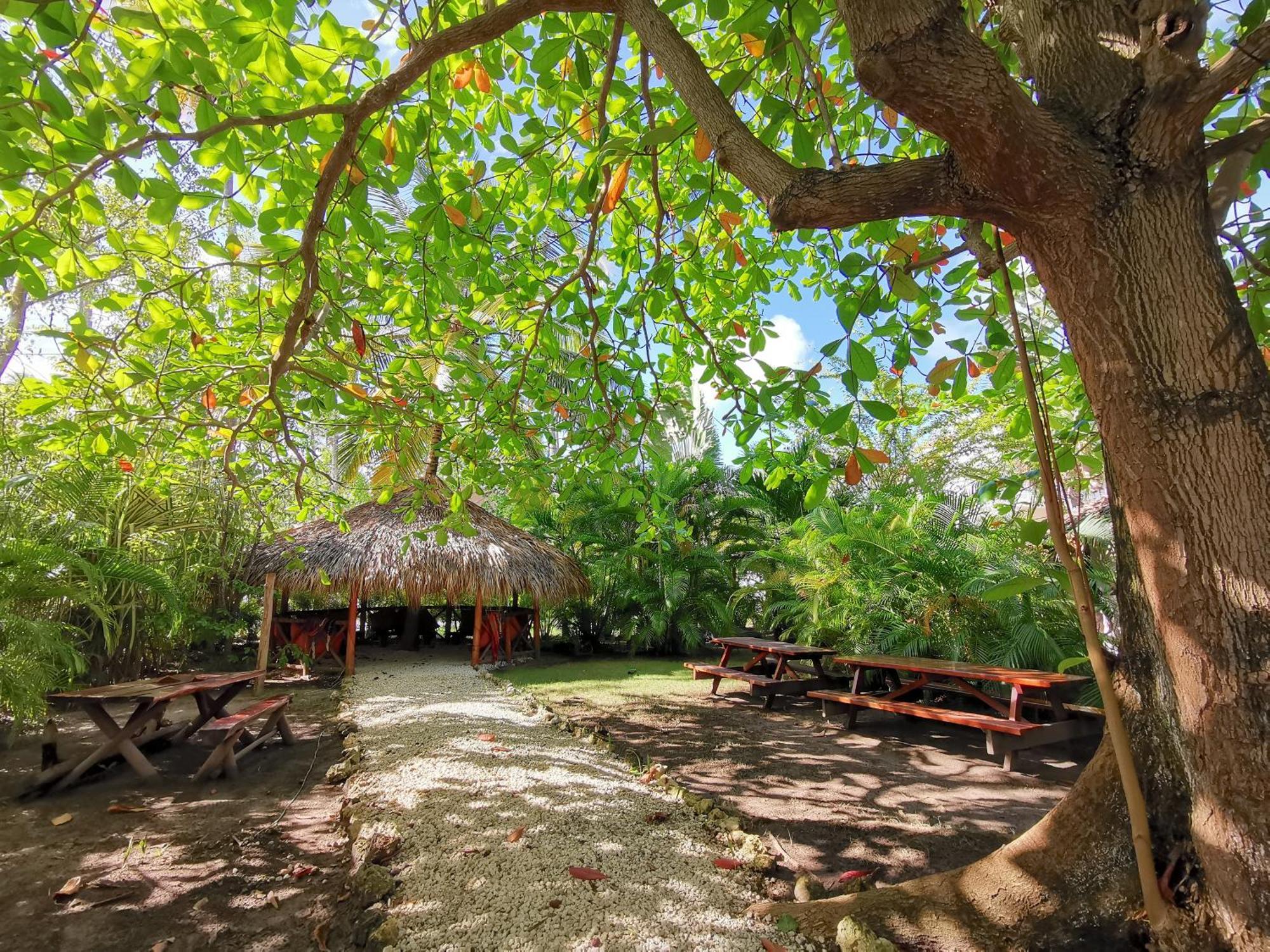 Hotel Tropical Village Playa Los Corales