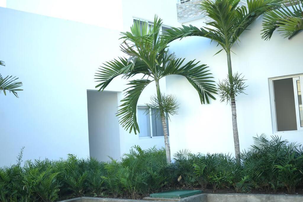 Pm New Dream ,by The By The Shops * Punta Cana