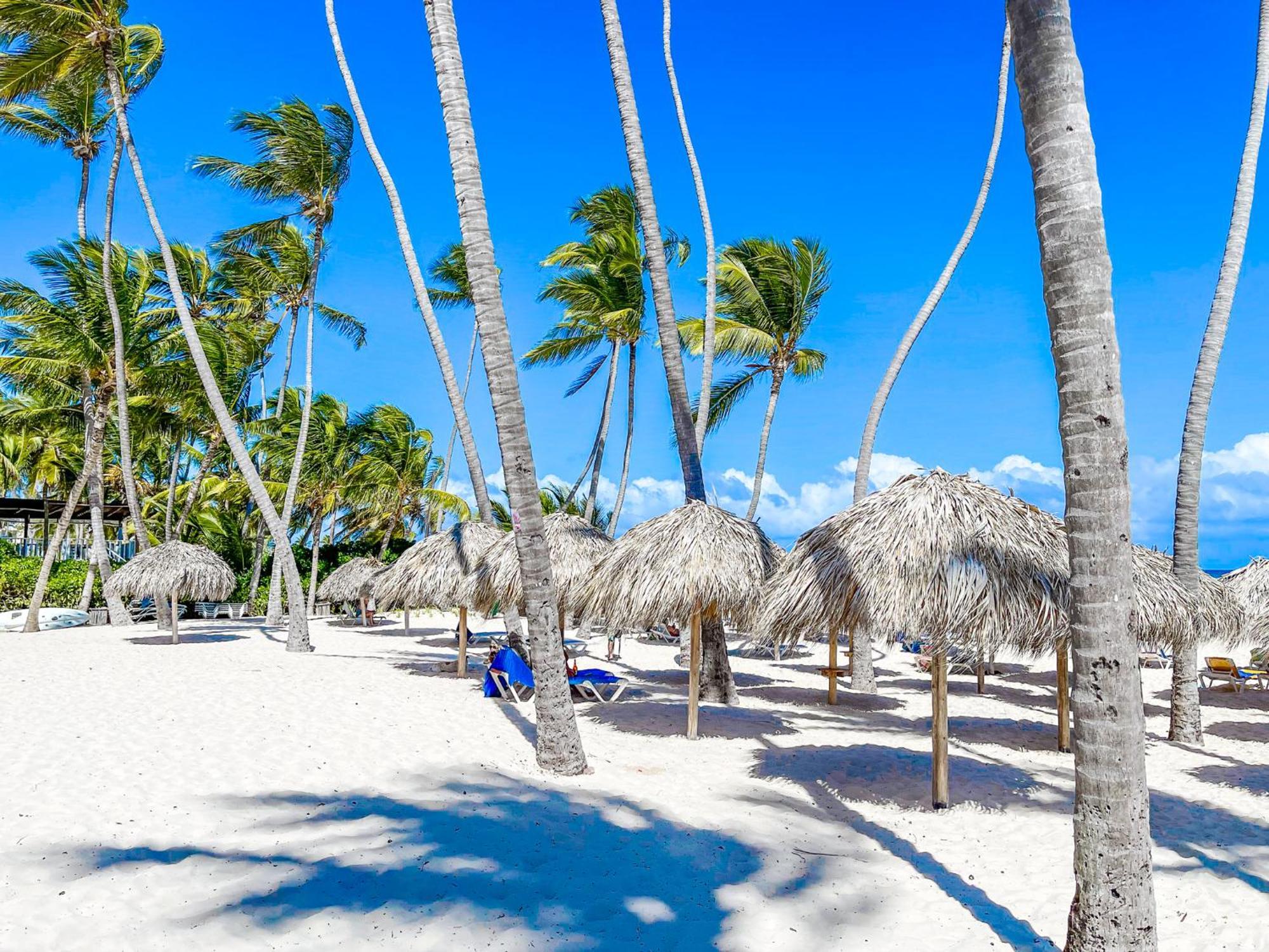 Caribbean Deluxe Ducassi Rooftop Pool Beach Club & Spa Hotel