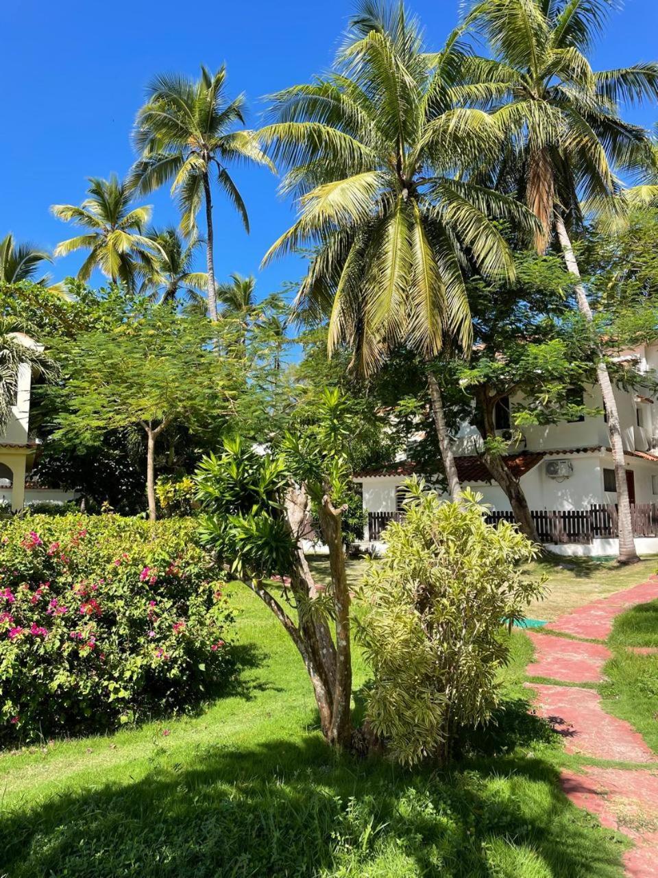 Refugio Costa Amare Pool Corales Punta Cana