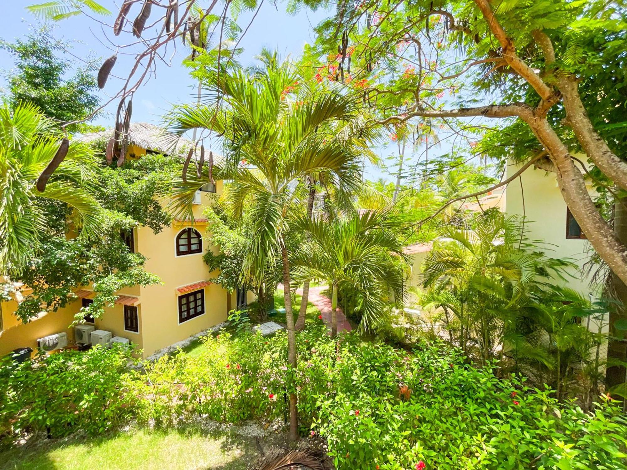 Hotel Caribbean Paradise Ocean Breeze With View Los Corales Bbq Wifi Beach Club & Spa 5*