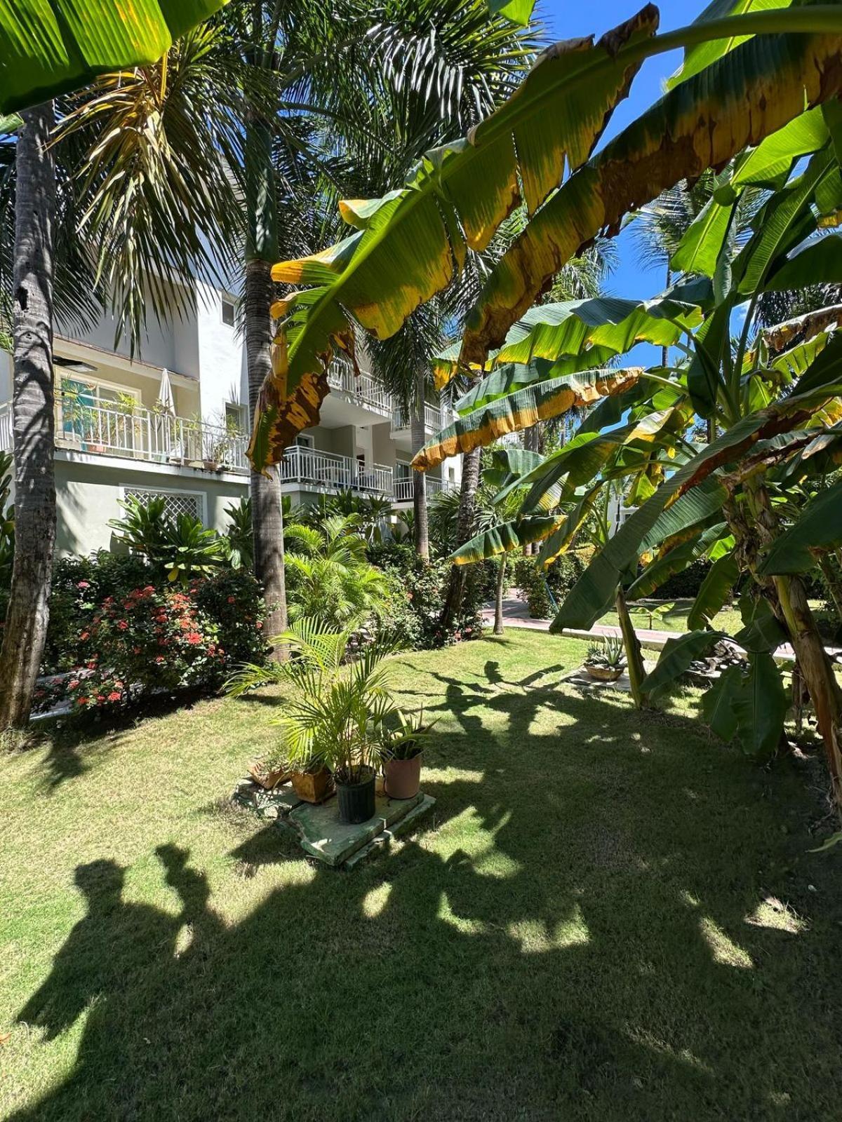 Apartment Isla Del Encanto