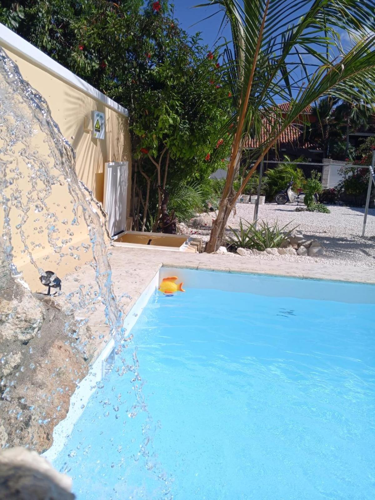 Ave Fenix Punta Cana