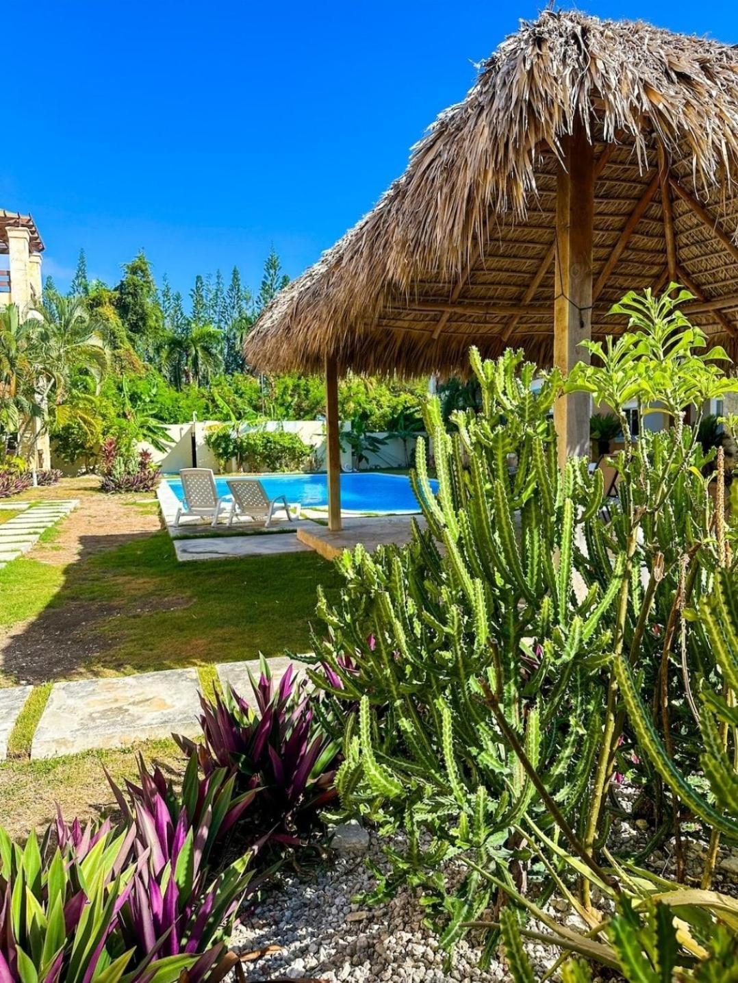Buganvilla