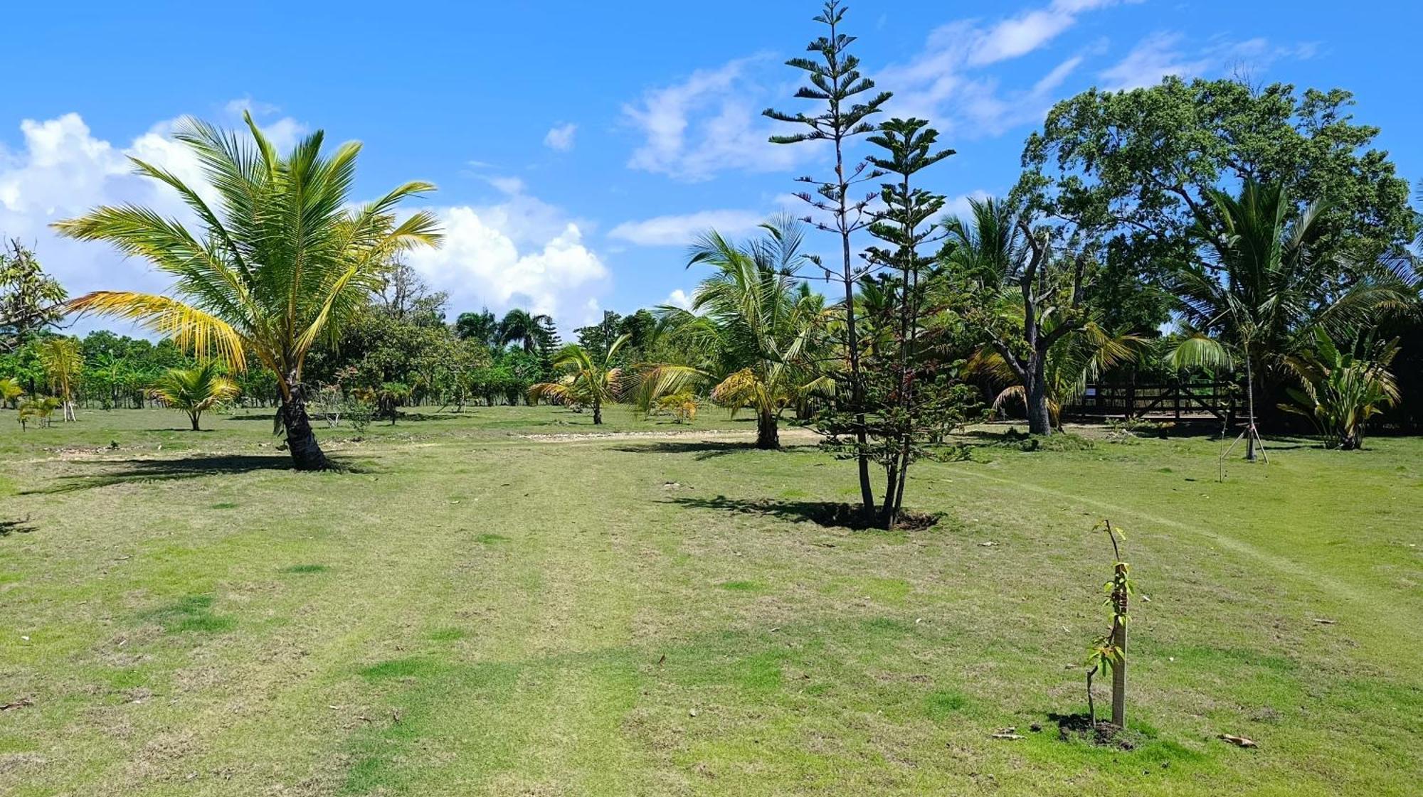 Lodges & Camping Macao Beach Bavaro Punta Cana