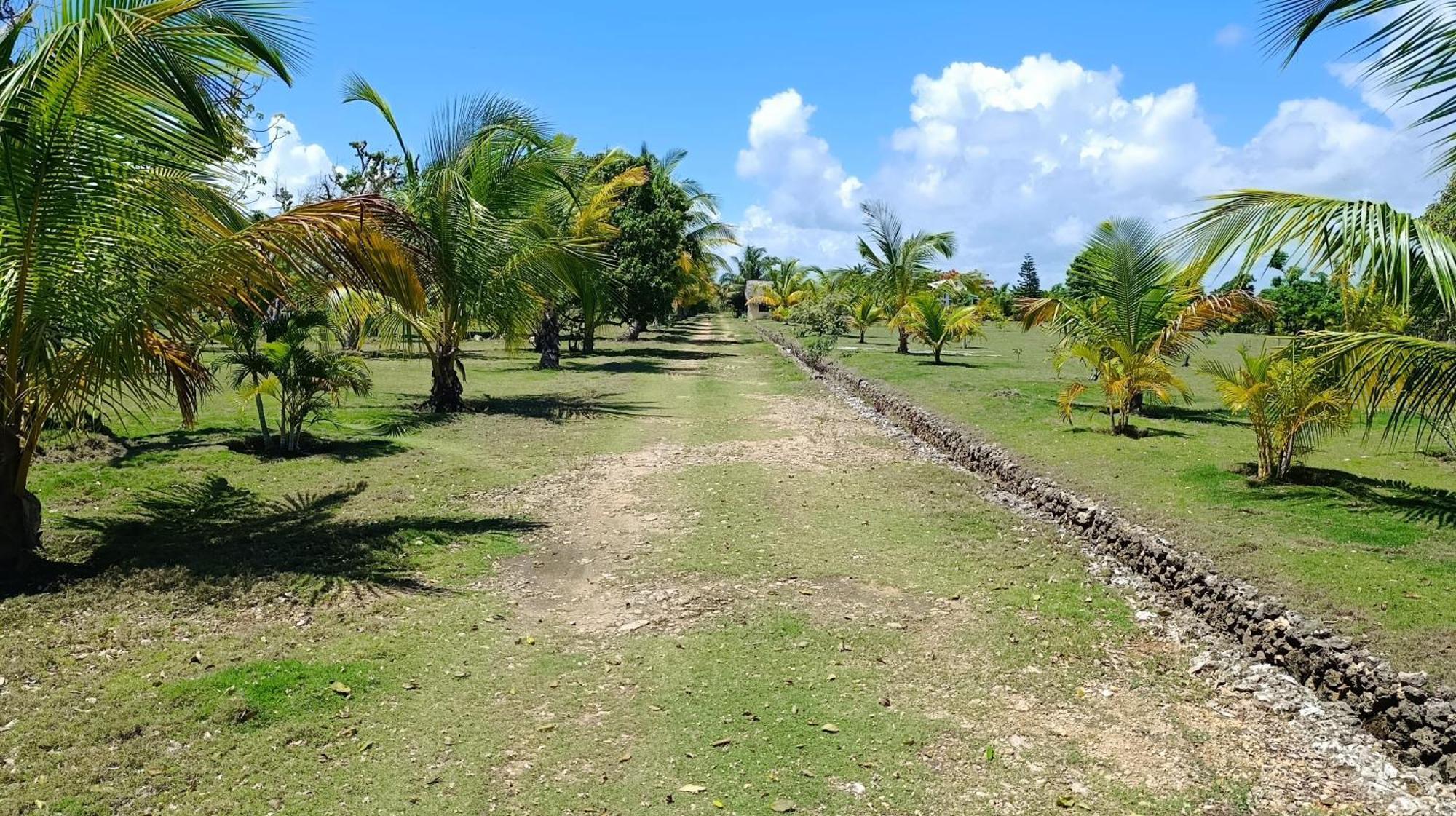 Lodge Lodges & Camping Macao Beach Bavaro Punta Cana Punta Cana