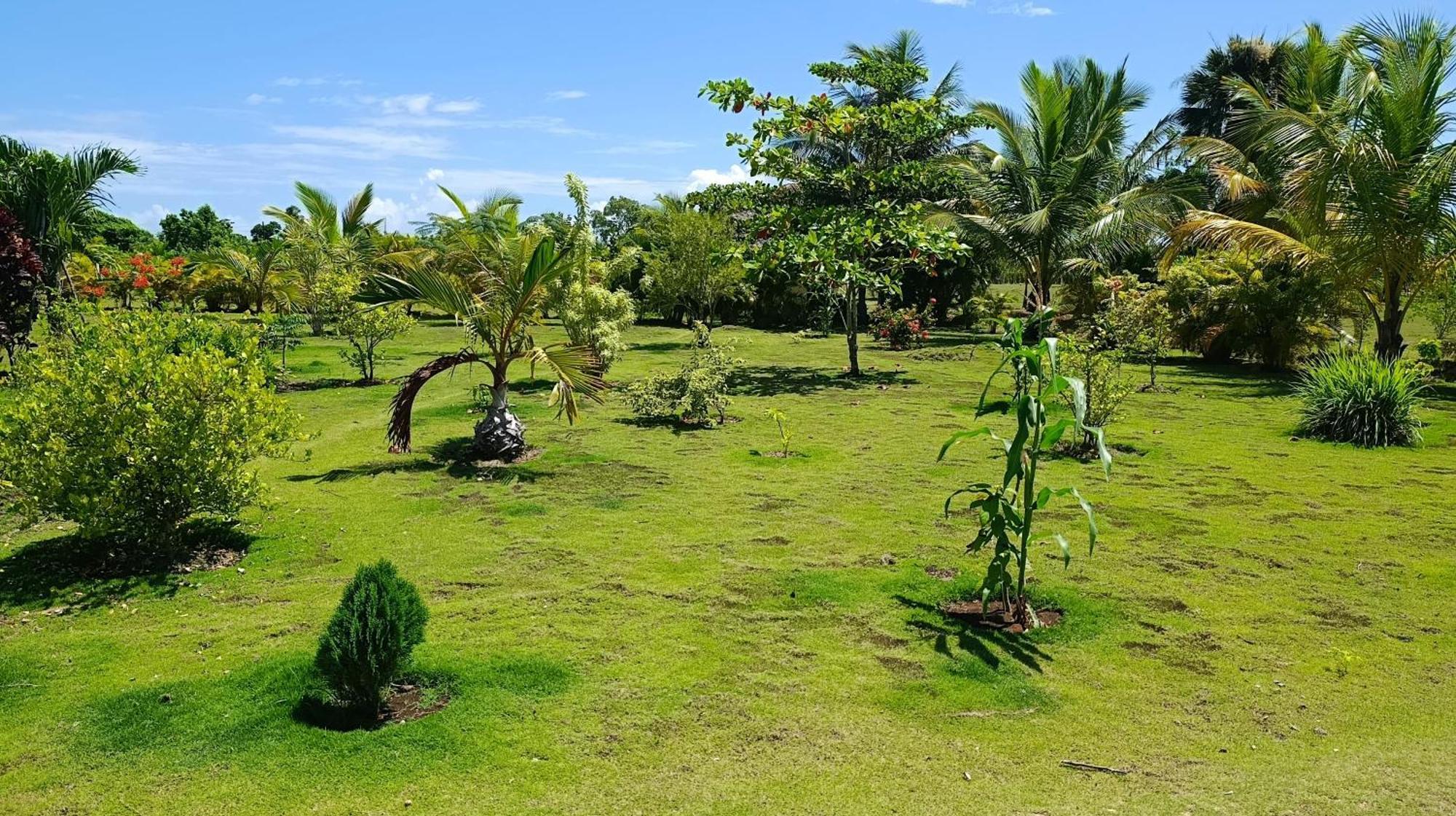 Lodges & Camping Macao Beach Bavaro Punta Cana