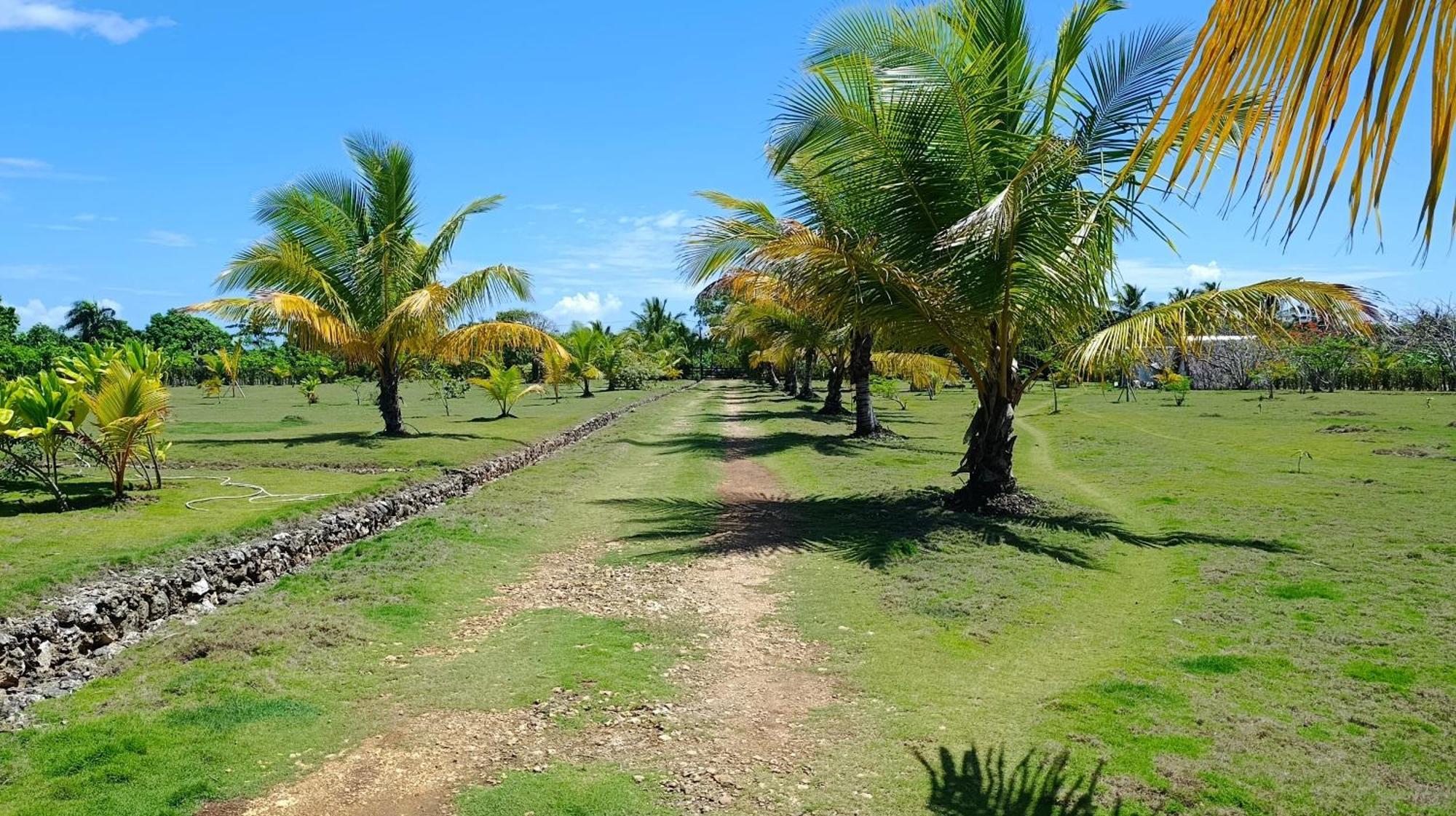 Lodges & Camping Macao Beach Bavaro Punta Cana Lodge Punta Cana