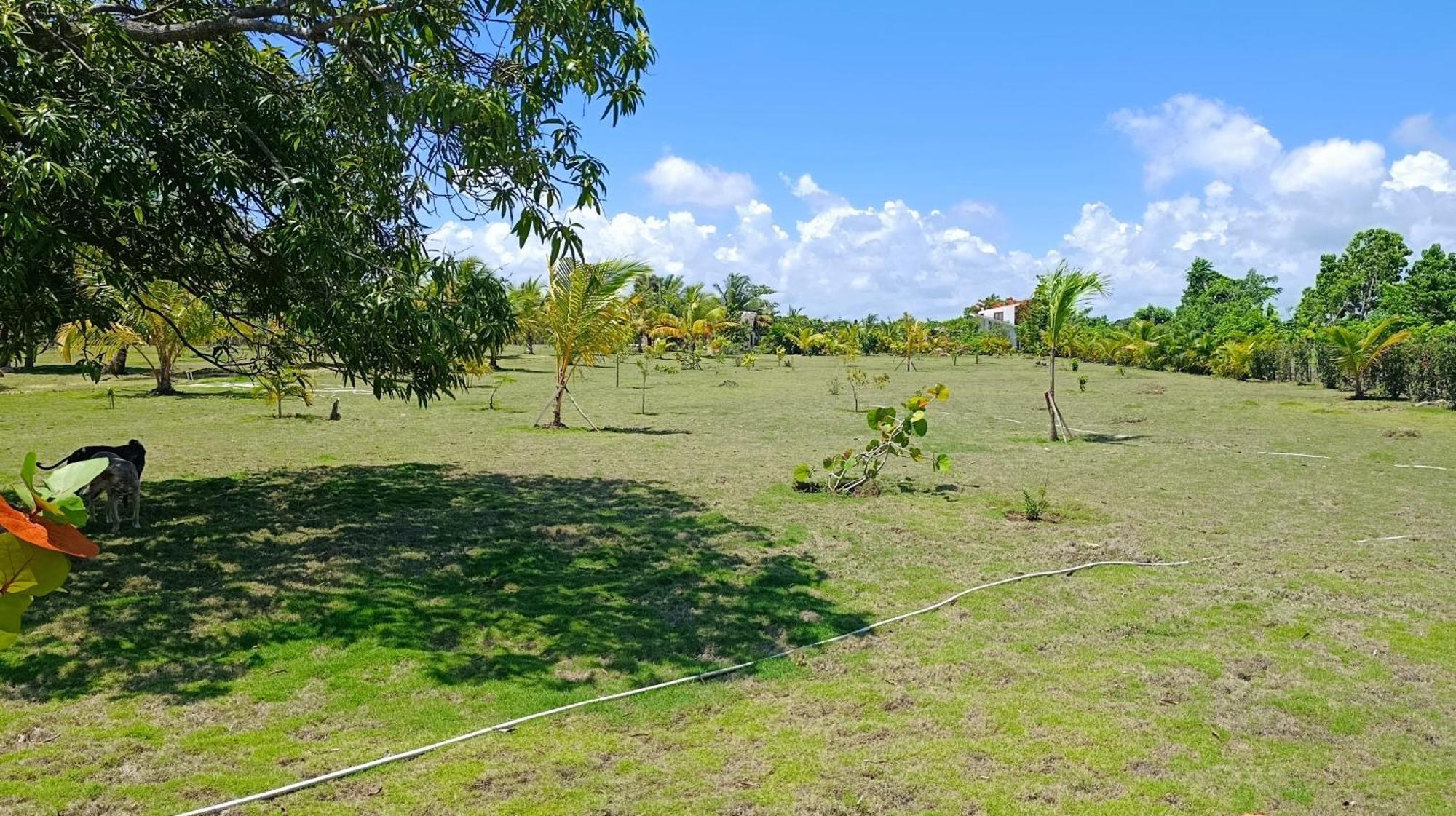 Lodges & Camping Macao Beach Bavaro Punta Cana Punta Cana