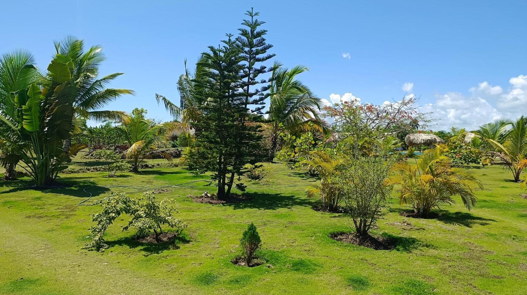 Lodges & Camping Macao Beach Bavaro Punta Cana Lodge