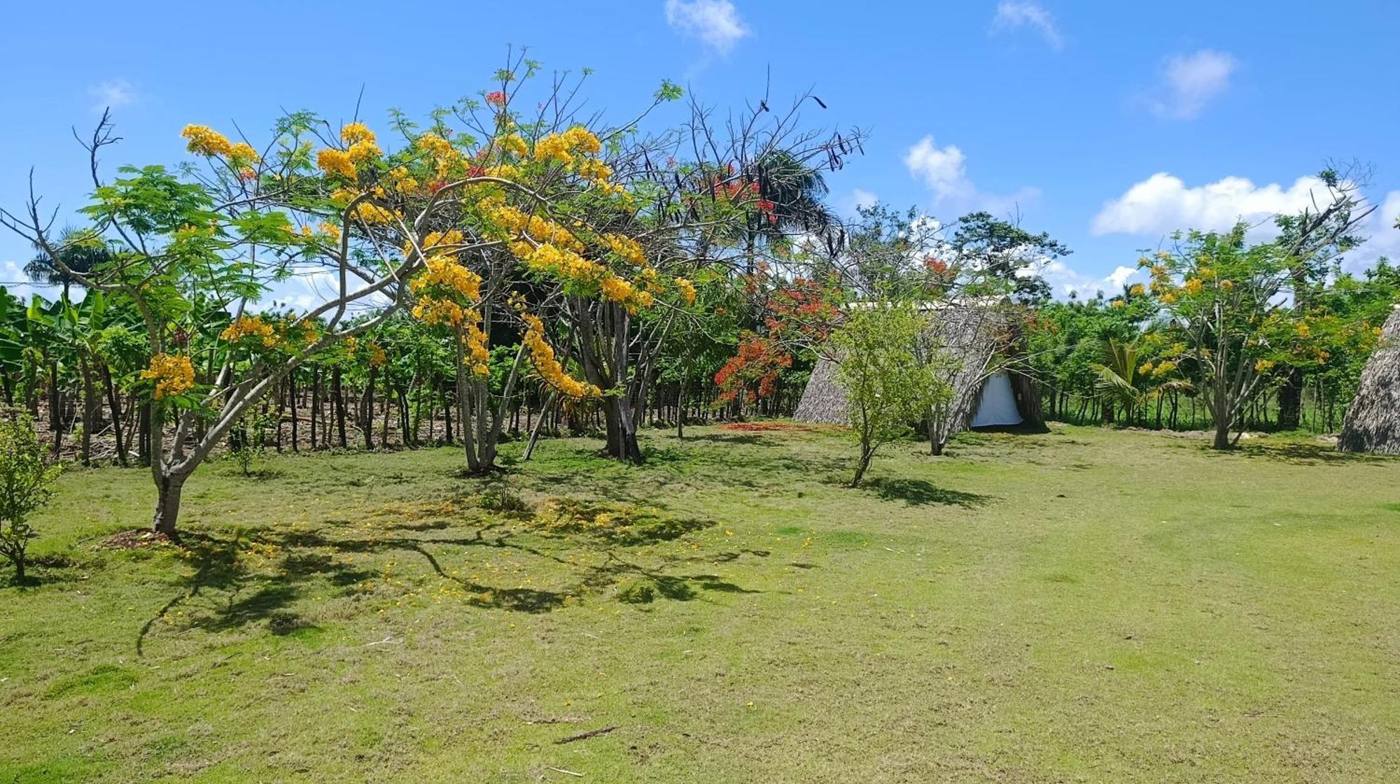 Lodge Lodges & Camping Macao Beach Bavaro Punta Cana *