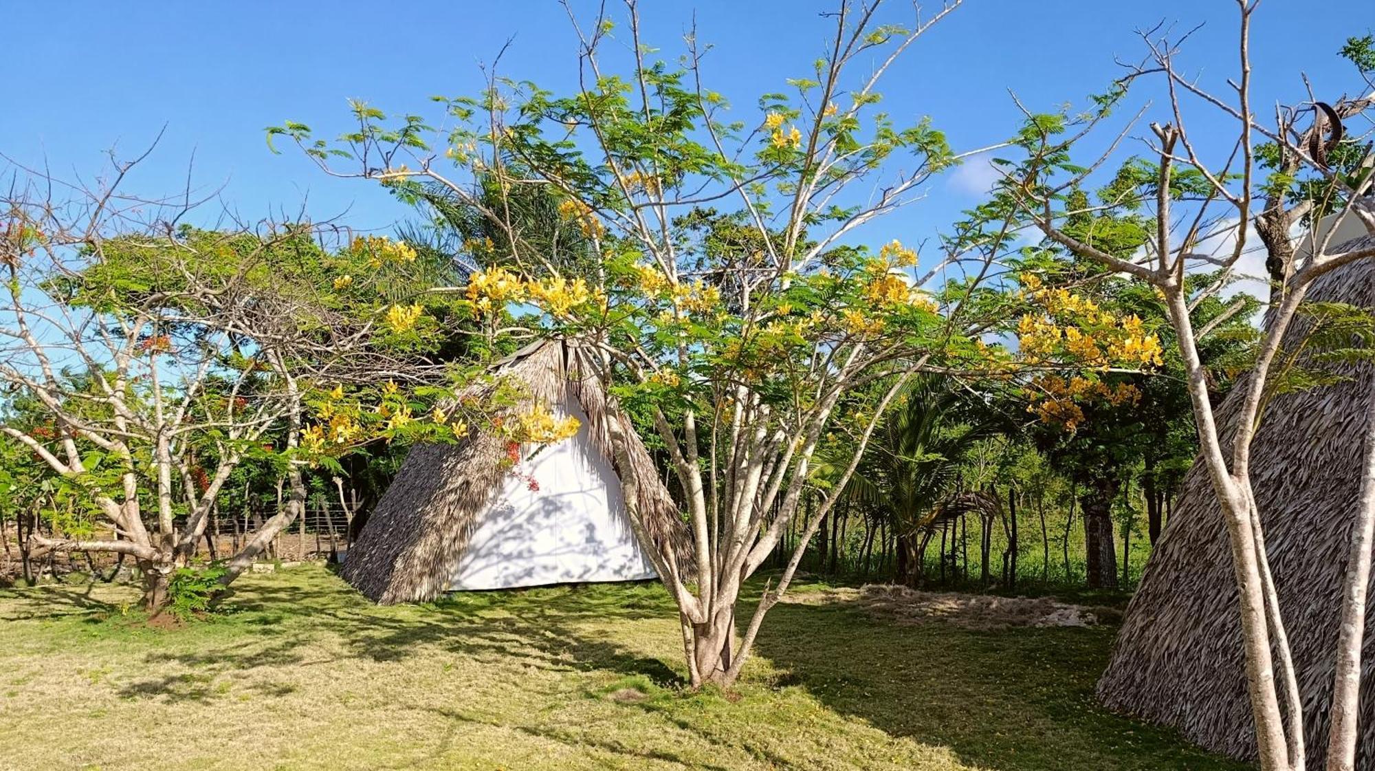 Lodges & Camping Macao Beach Bavaro Punta Cana Lodge