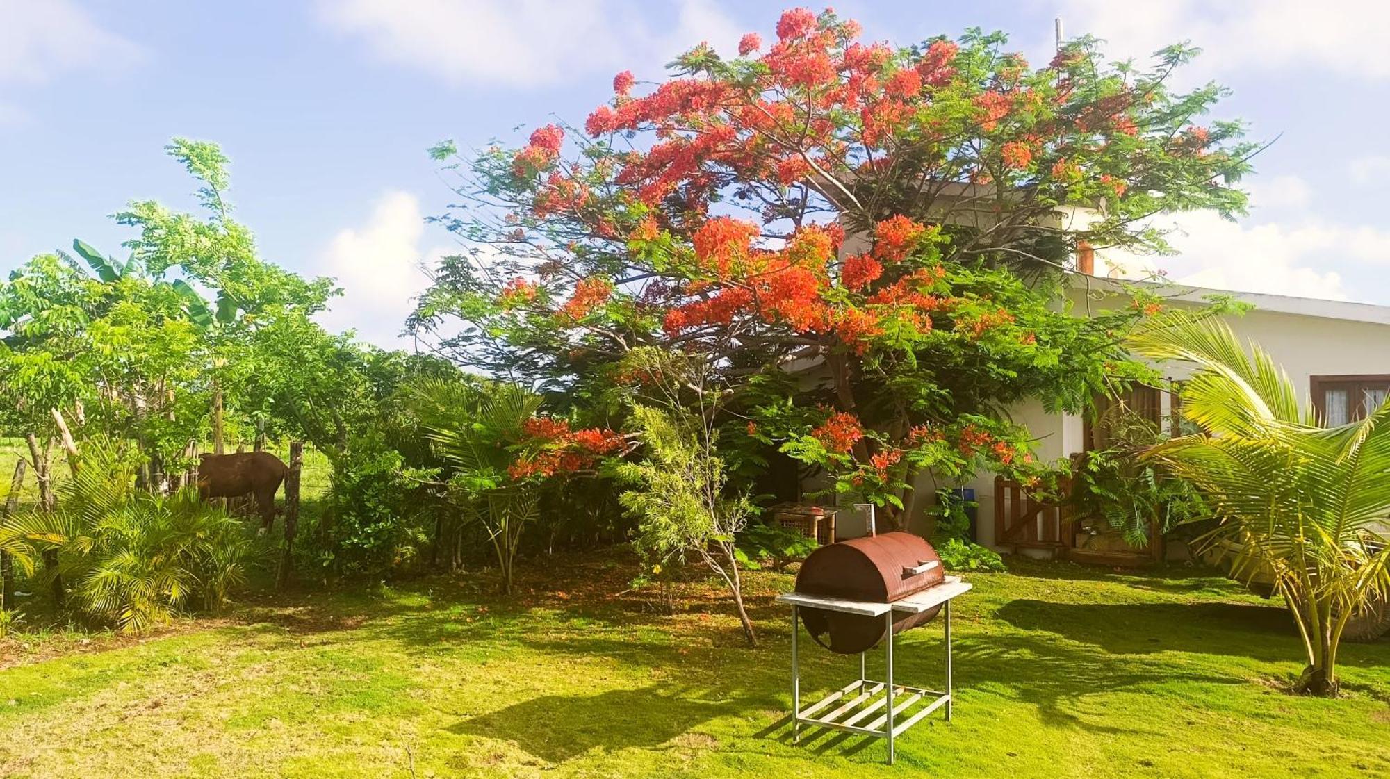 Lodges & Camping Macao Beach Bavaro Punta Cana Lodge Punta Cana