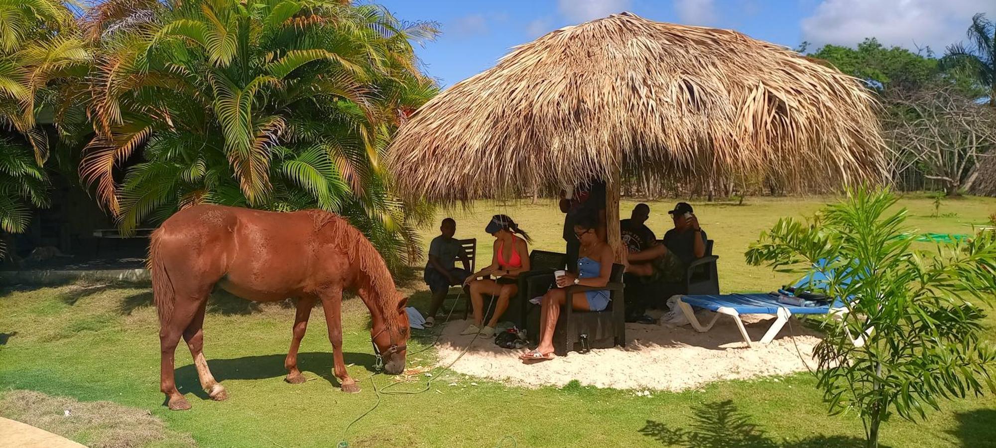 Lodges & Camping Macao Beach Bavaro Punta Cana *