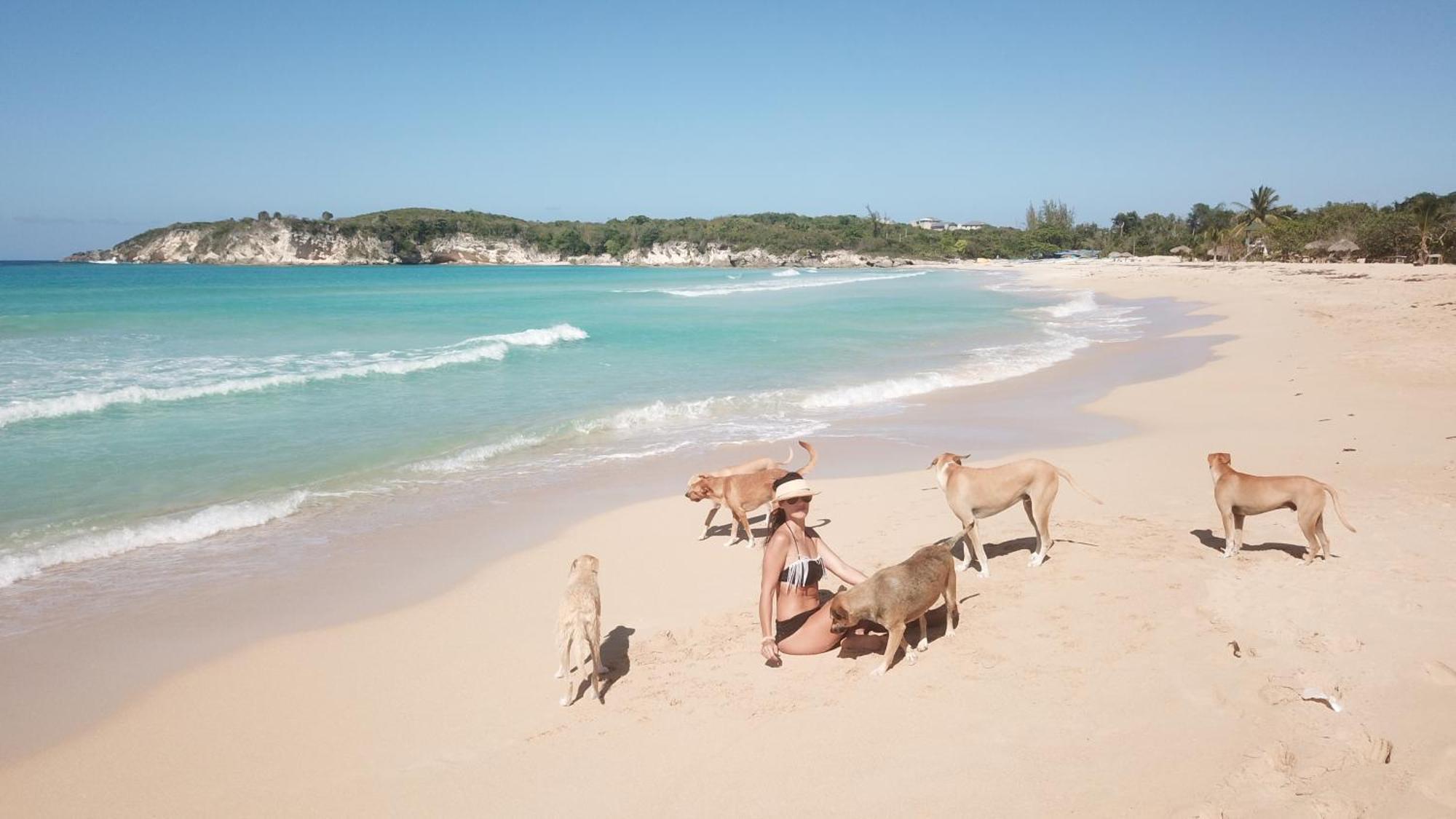 Lodge Lodges & Camping Macao Beach Bavaro Punta Cana *