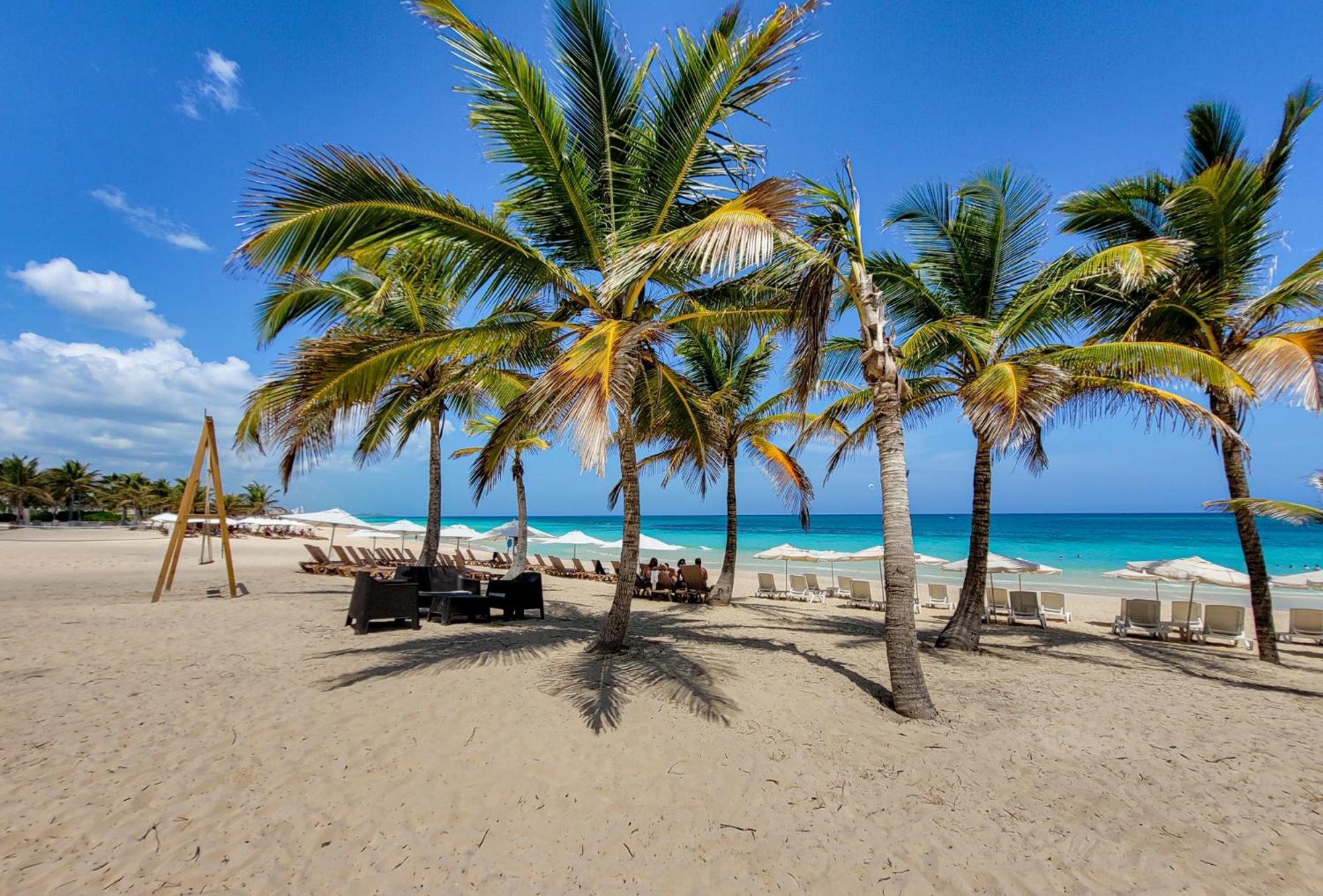 Cana Rock Star Punta Cana