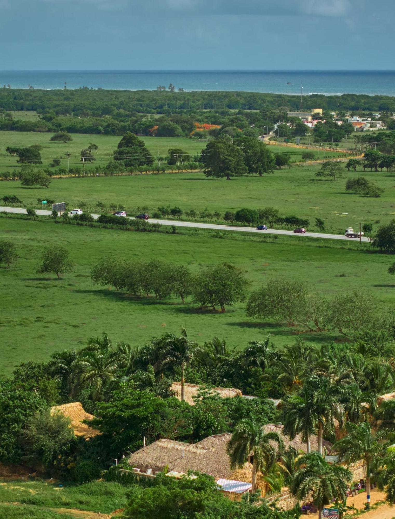 Buena Vida Macao Punta Cana