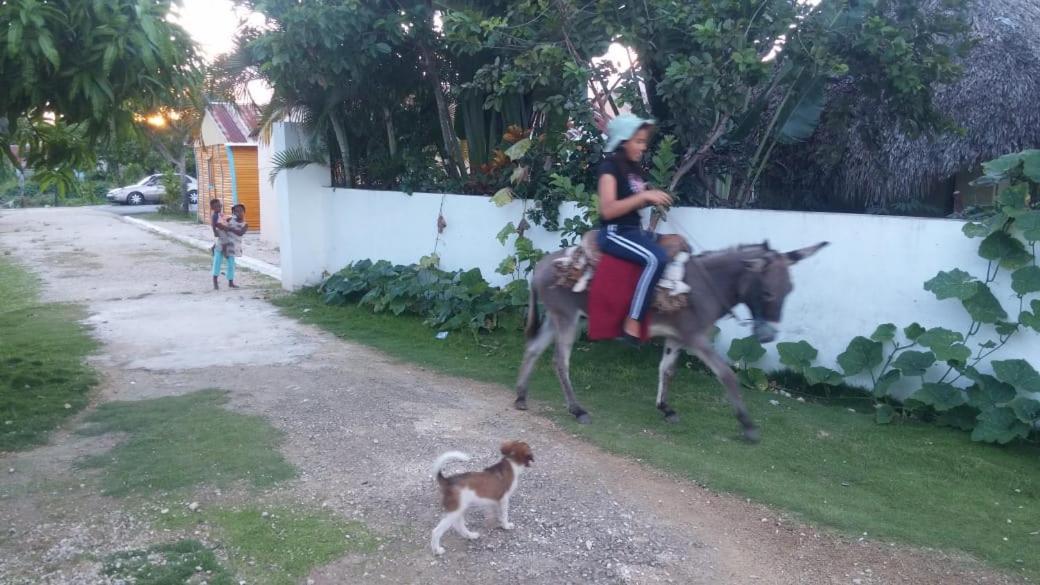 Casa de férias El Conde De Rosa Punta Cana