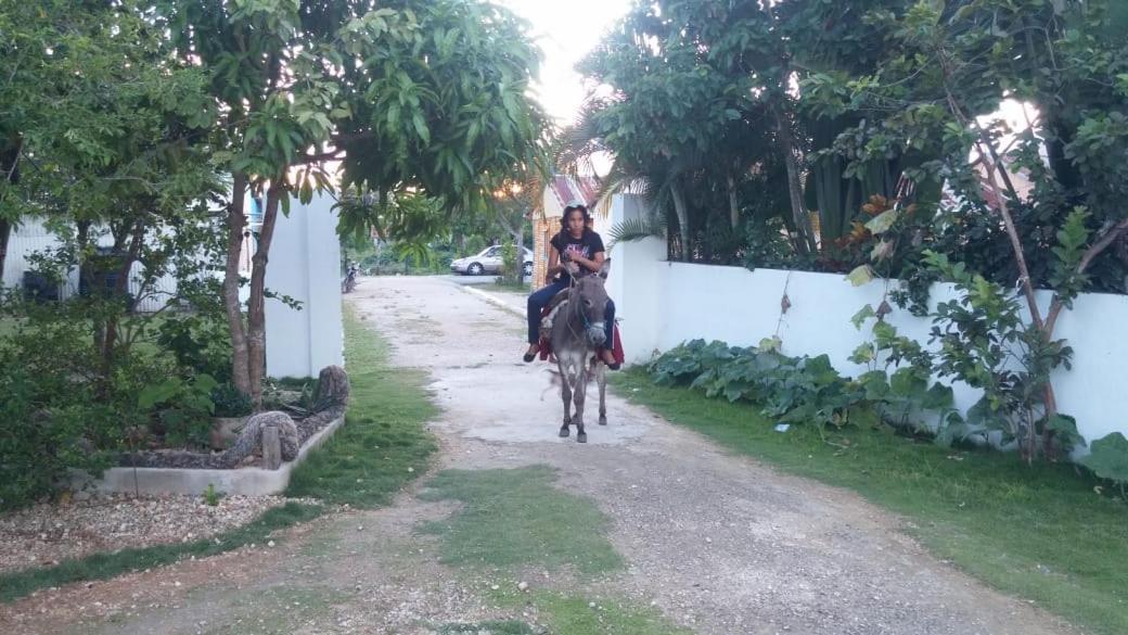 El Conde De Rosa Casa de férias