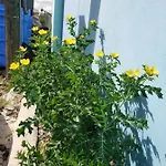 Apartamentos Elohim 2