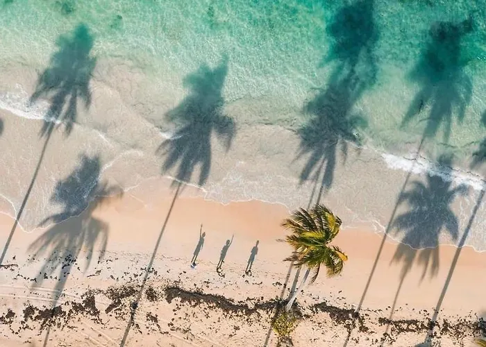 Luxury Beach Villas Spa And Beach Club Playa Los Corales