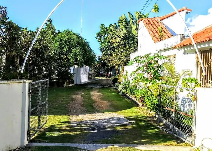 El Conde De Villa Rosa