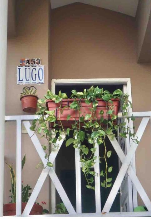 Lugo's Guest Homestay Punta Cana