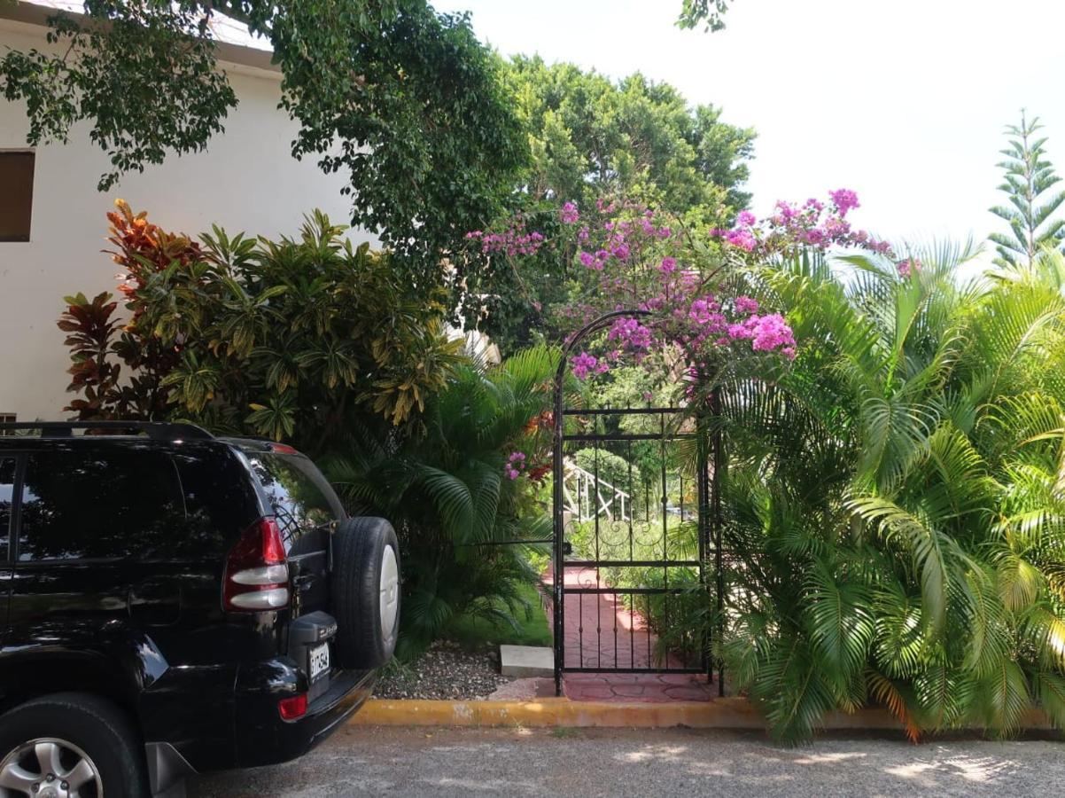 Lugo's Guest Punta Cana