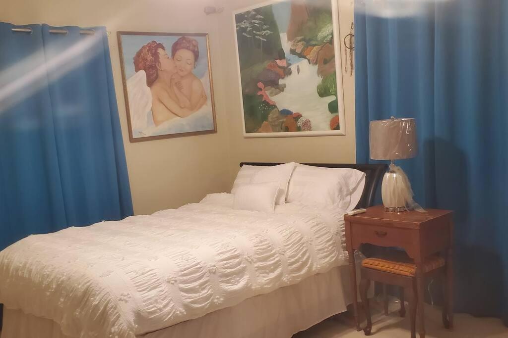 Dominican Art 2 Bedroom El Cortecito Apartment